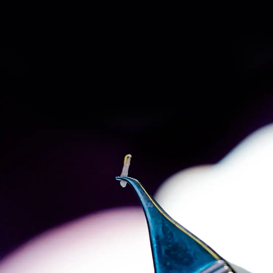 <h3><span style="color: rgb(247, 248, 248);"><strong>Donor hair extraction</strong></span></h3>