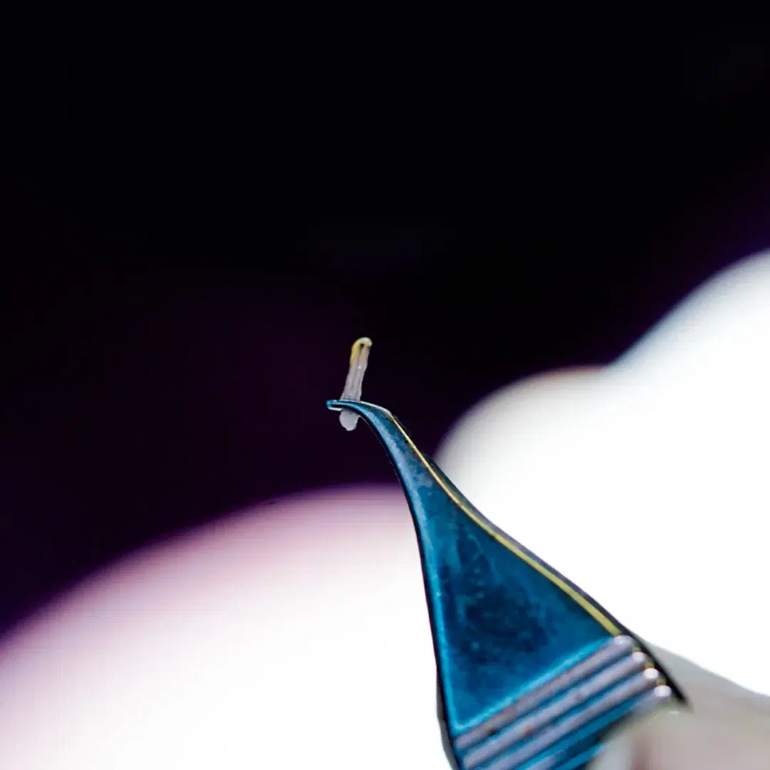 <h3><span style="color: rgb(247, 248, 248);">Hair Follicle Extraction</span></h3><p><span style="color: rgb(74, 78, 90);"> </span></p>